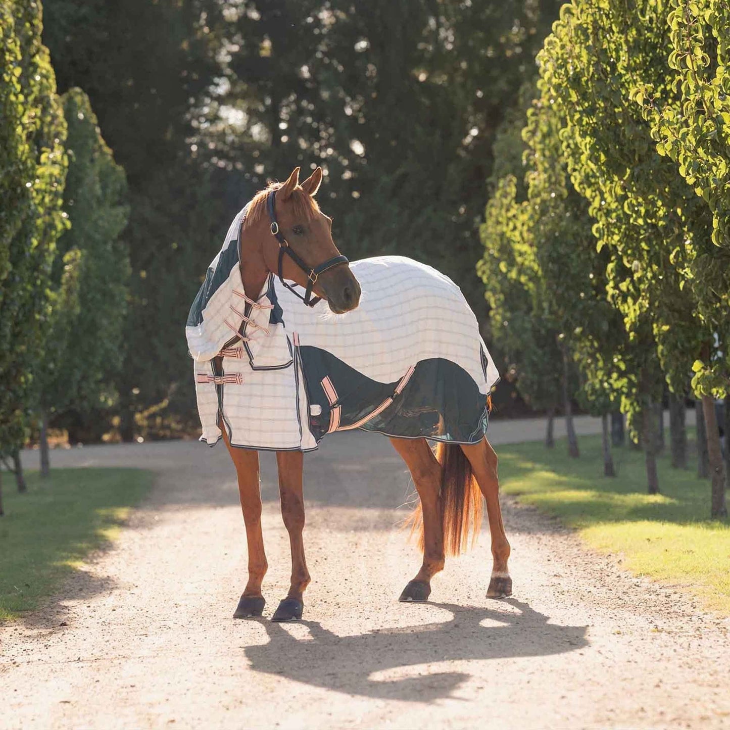 Mixed-Combination Horse Rug — Spruce & Peach — Multiple Sizes Available