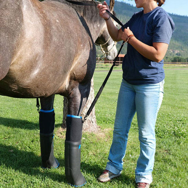 Equine Therapy Boot – Ultimate Cold Therapy Boot for Horses (Single Boot)
